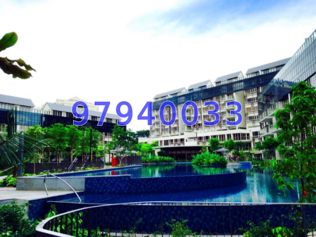 Flamingo Valley thumbnail photo